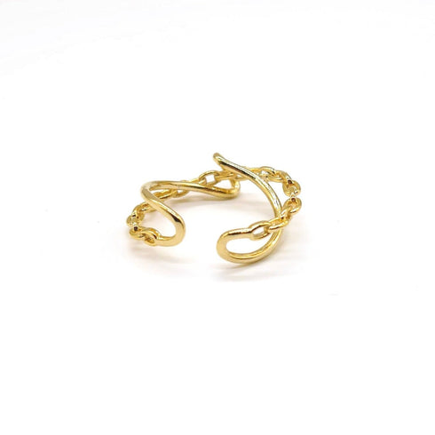 Double chain ring